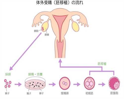 <b>上海代孕生子价格_上海代孕全程价格</b>