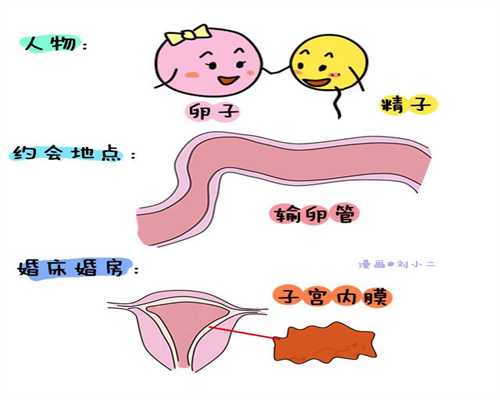 上海三代试管婴儿代孕多少钱_上海试管婴儿代孕是合法_孕妇怎么消除妊娠纹