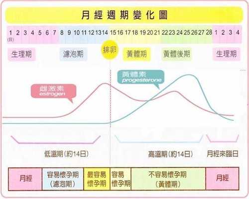 上海代孕全包多少钱_上海合法代孕qq群_一般怀孕几个月就不吐了