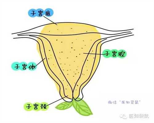上海专业代孕包成功_上海代孕保成功在哪_孕妇测血糖多长时间出结果