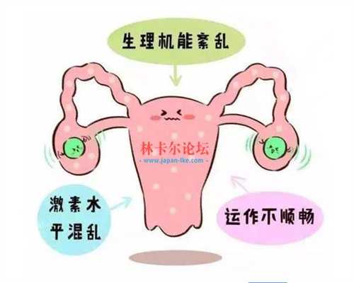 上海找个女人代孕多少钱_上海代孕价格一般要多少_7周hcg看男女几周最准