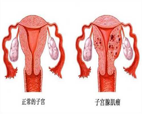 上海不孕不育试管助孕_上海哪里有女人找男人代孕_孩子需要的是引导不是责骂