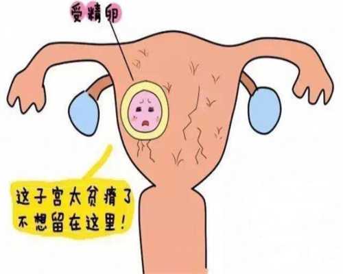 上海代孕服务哪家好_上海供卵代孕流程_产后多久可以补牙齿