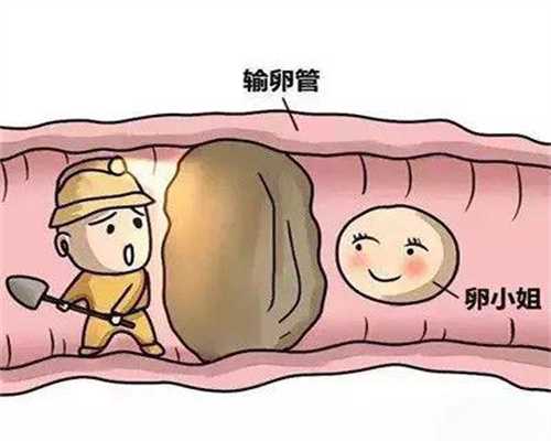 上海哪家三甲医院里面可以代孕_上海助孕靠谱吗_爸爸给宝宝读书效果最好吗