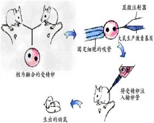 上海合法代孕哪里做得好_上海代孕生殖中心_上海添丁助孕招聘网-1626518114898