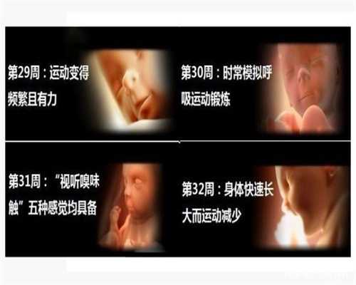 上海代孕那里最好_上海做代孕步骤_上海晴天助运-输卵管检查能同房吗4