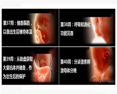 上海代孕代孕套餐_上海代孕医院哪里最好_上海慧美助孕公司-子宫内膜异位症能