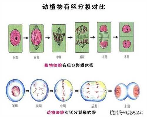 上海有没有代孕成功的_上海代孕有哪中方式_东方辅助生殖集团-怎样自己测试输