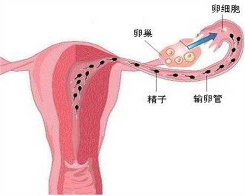 上海做代孕医院排名_上海怎么当做代孕_上海彩虹宝贝晓海-试管不成功有伤害吗