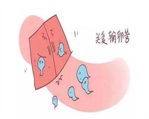 上海代怀孕服务_上海代怀孕产子_宫外孕停经几天会出血