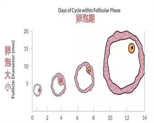 上海找人代孕最高收费60万_上海代孕具体位置