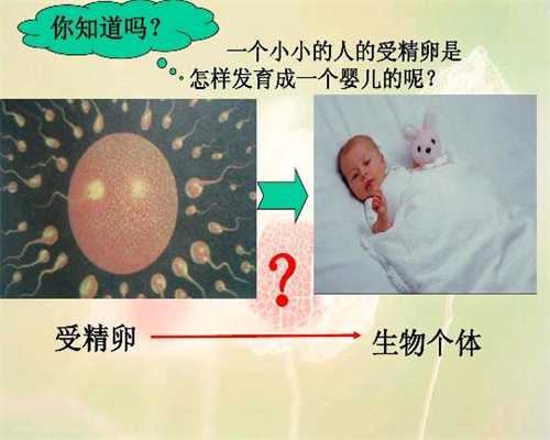 上海中国第三代试管的医院_上海口碑好供卵试管婴儿