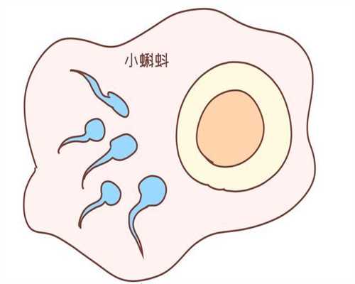 <b>上海民间供卵试管_上海48岁做供卵试管婴儿</b>