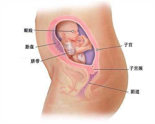 公立医院供卵能成功吗_泰国做供卵试管婴儿的费用_代孕产子一共要多少钱_代孕