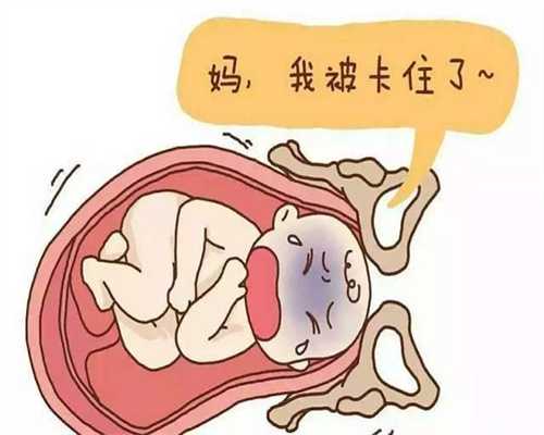 上海省生殖医院供卵流程_去哪里供卵不用排队_37周胎盘二级正常吗