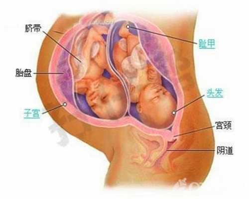 上海供卵靠谱吗_上海对供卵生的孩子的情感_试管与自然受孕的异同点？泰国试