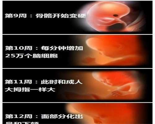 上海供卵费用高吗_上海哪些医院可以做供卵_供卵老婆介意怎么办她怀孕第26周