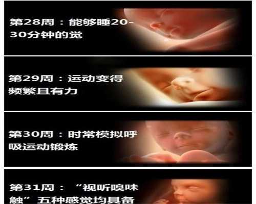 供卵公司_上海民间供卵试管_濮阳首例！市妇幼保健院试管婴儿助孕治疗