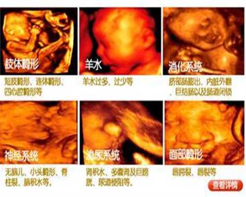 上海供卵试管哪家最好_怎么查不到金贝供卵的地址_代怀孕产子价_代孕手术费用