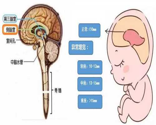 供卵试管治疗方案_有供卵的医院吗_广州荔湾区有哪些试管婴儿机构？