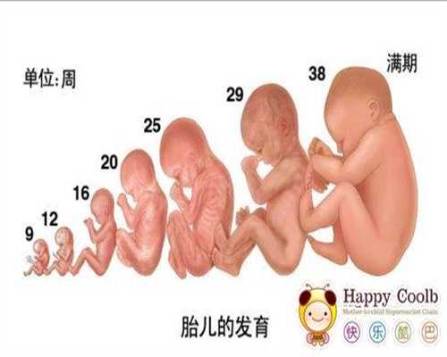 上海供卵取卵个数_上海南方医科医院 供卵_代孕热线_代孕网机构