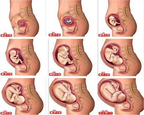 上海有哪些医院可以供卵_供卵生的孩子总感觉有隔阂_输卵管造影和输卵管通液