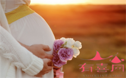 上海供卵自怀能遗传孕母哪些_上海中信供卵试管_艾草煲鸡汤孕妇早期可以喝吗