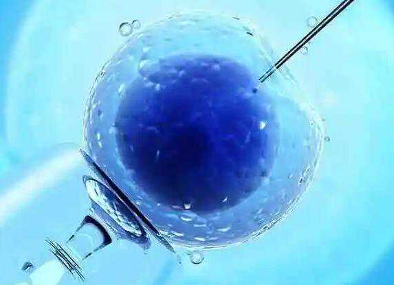 供卵上海专业机构 2022年上海九院试管费用明细 ‘试管婴儿囊胚男孩的症状’