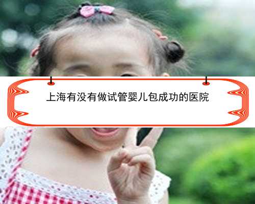 上海有没有做试管婴儿包成功的医院